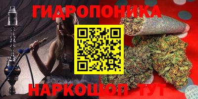 шишки Краснокаменск