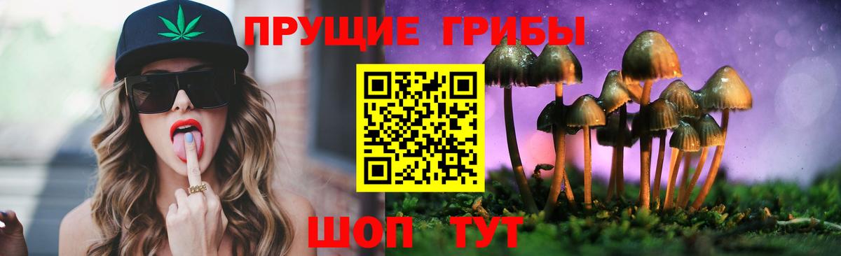 Клинцы  Псилоцибиновые грибы мицелий  Вход с VPN 